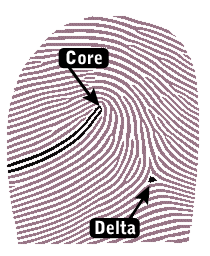 diagram-delta-core.png